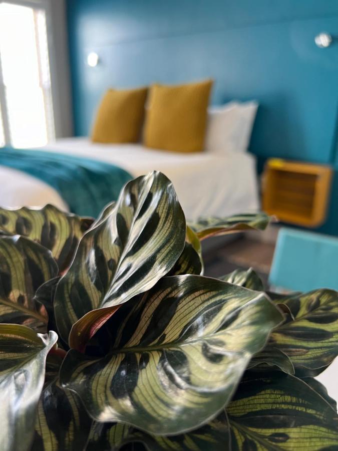 Hermanus Waterfront Apartment No 17 Экстерьер фото